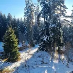 Private Pine Whisper 4 Pax In Euphoria Club * Borowec