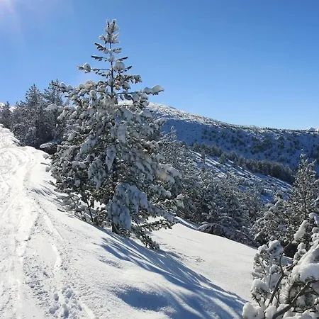 Lejlighed Private Pine Whisper 4 Pax In Euphoria Club Borovets