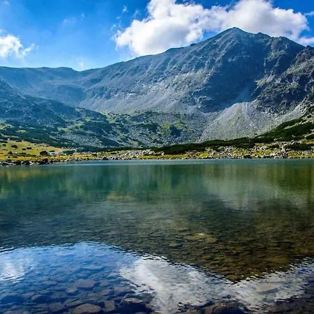 Private Pine Whisper 4 Pax In Euphoria Club Lejlighed Borovets