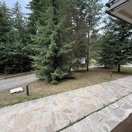 Private Pine Whisper 4 Pax In Euphoria Club ボロヴェッツ