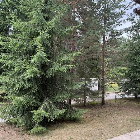 Private Pine Whisper 4 Pax In Euphoria Club アパート *