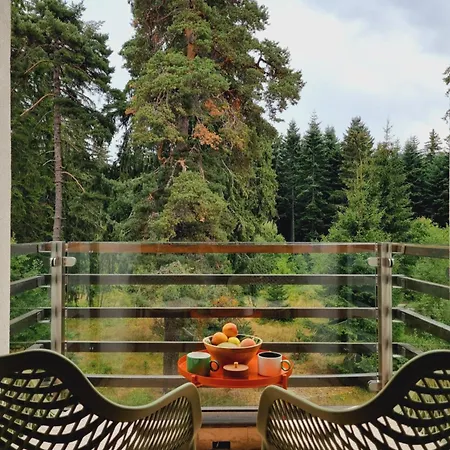 Private Pine Whisper 4 Pax In Euphoria Club *