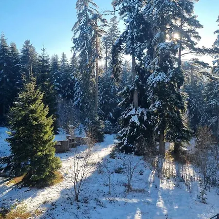 Private Pine Whisper 4 Pax In Euphoria Club * Borovets