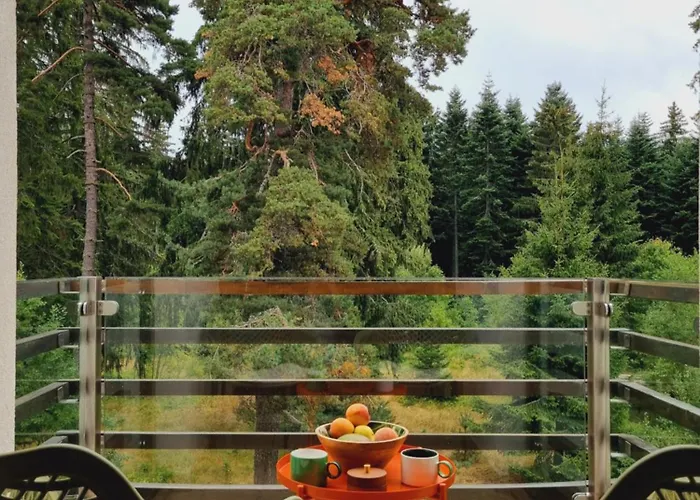 Private Pine Whisper 4 Pax In Euphoria Club *