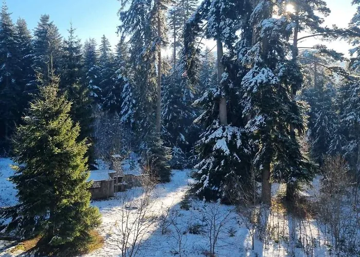 Private Pine Whisper 4 Pax In Euphoria Club * Borowez